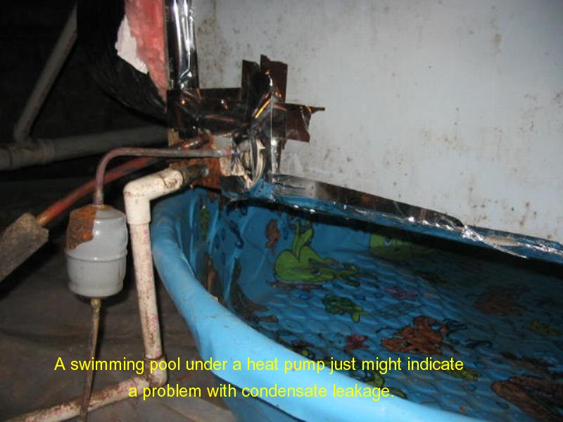 Rock Solid Home Inspections mold inspection photo 27